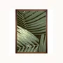 Quadro Decorativo Botânico Folhas de Palmeira com Moldura Chanfrada 95x145 cm