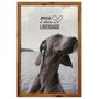 Quadro Decorativo de Animais Cachorro com Frase e Moldura Rústica 40x60cm