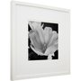 Quadro Decorativo em Preto e Branco Flor Tulipa 50x50cm