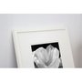 Quadro Decorativo Flor em Preto e Branco com Moldura Branca 50x50cm