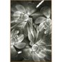 Quadro Decorativo Flor Suculentas Verdes 70x100 cm