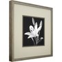 Quadro Decorativo Floral Lírio em Preto e Branco 50x50cm