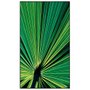 Quadro Decorativo Folha de Palmeira Verde 80x140 cm