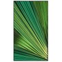 Quadro Decorativo Folha Tropical de Palmeira 80x140 cm
