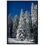 Quadro Decorativo Paisagem Árvores Cobertas de Neve 70x100cm
