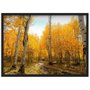 Quadro Decorativo Paisagem Outono Árvores com Folhas Amarelas 70x50cm