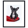 Quadro Decorativo Pet Bulldog Francês 50x60cm