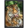 Quadro Decorativo Poster Família de Tigres s/ Vidro 60x90cm