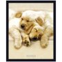 Quadro Decorativo Poster Filhotes de Labrador s/ Vidro 40x50cm