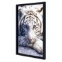 Quadro Decorativo Poster Tigre Branco s/ Vidro 60x90cm