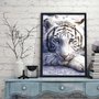Quadro Decorativo Poster Tigre Branco s/ Vidro 60x90cm