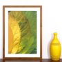 Quadro Decorativo Rústico Arte Folhas Verdes 50x70 cm