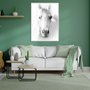 Quadro em Preto e Branco Decorativo Fotografia Imagem de Cavalo- Escolha o Tamanho