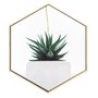 Quadro em Tela Hexagonal Decorativo Vasinho de Planta Suculenta