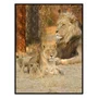 Quadro Família de Leão com 2 Filhotes na Savana Africada com Moldura e Vidro
