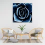 Quadro Floral Azul em Tela Canvas Planta Suculenta II - 70x70cm