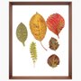 Quadro Folhas de Outono com Moldura Chanfrada Marrom 40x50cm