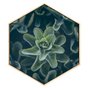 Quadro Hexagonal Decorativo Suculentas Tela Canvas com Moldura