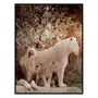 Quadro Leão Macho Leoa Branca 2 Filhotes Savana Africana com Moldura e Vidro