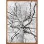 Quadro Rústico Decorativo Árvore em Preto e Branco 70x100 cm