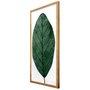 Quadro Rústico Decorativo Folha Verde 50x100cm