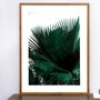 Quadro Rústico Tropical Folhas Verdes de Palmeira 90x120cm