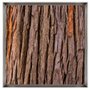Quadro Decorativo Fotografia Textura Casca de Árvore por Dorival Moreira - Escolha o Tamanho